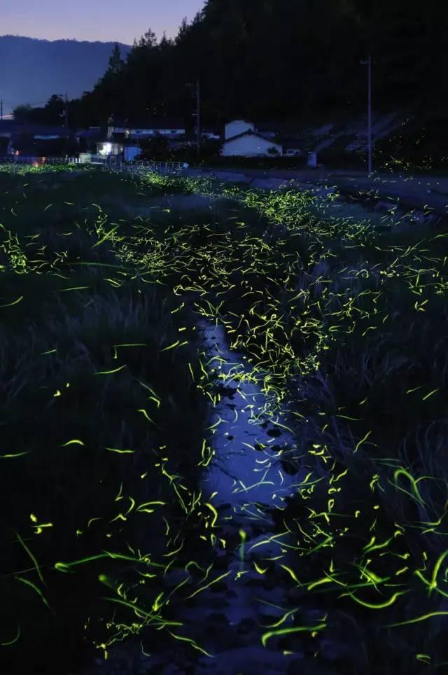 白色情人节：校园迷宫